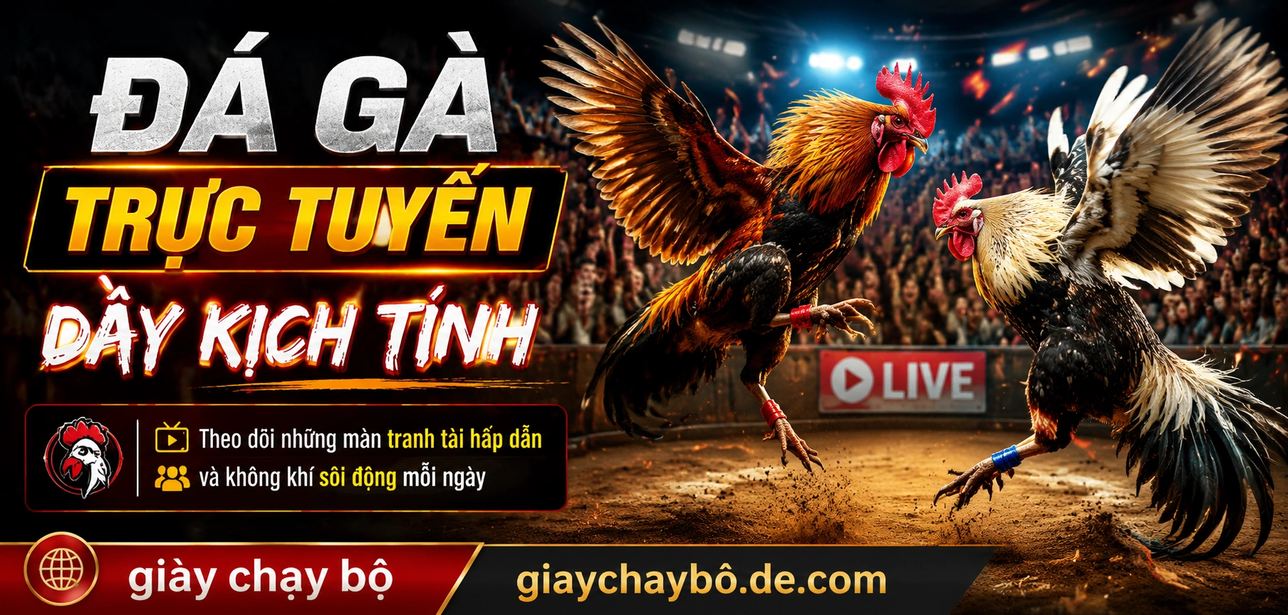 Đá gà trực tuyến với khung hình rõ và bảng kèo dễ đọc