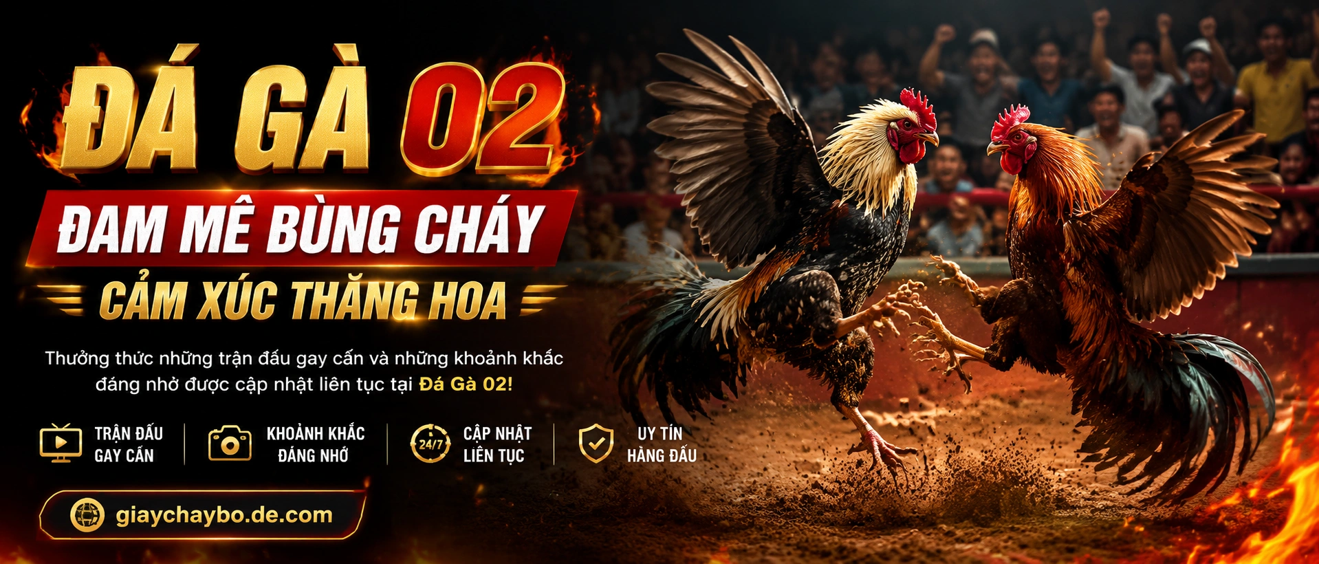 Đá gà online với sân Thái và góc quay cận cảnh